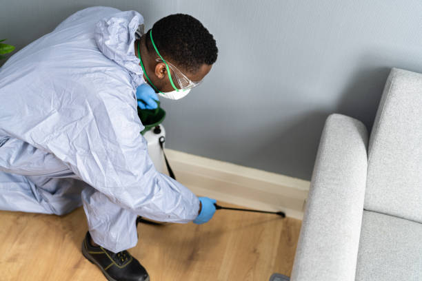 Real Estate Pest Inspections in Tenino, WA